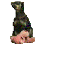 n :hump: