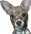 :shamus: